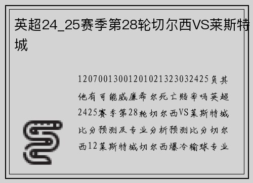 英超24_25赛季第28轮切尔西VS莱斯特城