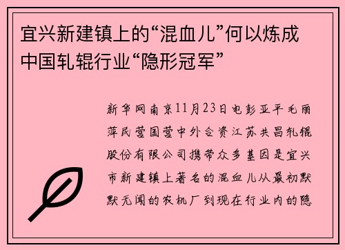 宜兴新建镇上的“混血儿”何以炼成中国轧辊行业“隐形冠军”