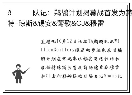 👀队记：鹈鹕计划揭幕战首发为赫伯特-琼斯&锡安&莺歌&CJ&穆雷