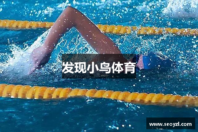 发现小鸟体育